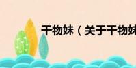 干物妹(关于干物妹的简介)