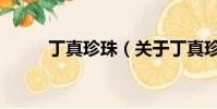 丁真珍珠(关于丁真珍珠的简介)