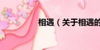 相遇(关于相遇的简介)