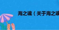 海之魂(关于海之魂的简介)