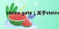steins gate(关于steins gate的简介)