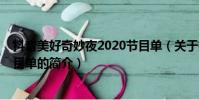 抖音美好奇妙夜2020节目单(关于抖音美好奇妙夜2020节目单的简介)