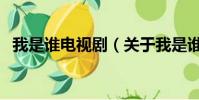 我是谁电视剧(关于我是谁电视剧的简介)