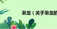 枭龙(关于枭龙的简介)