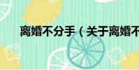 离婚不分手(关于离婚不分手的简介)