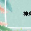神舟（关于神舟的简介）