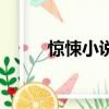 惊悚小说（关于惊悚小说的简介）