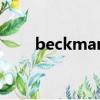 beckman（关于beckman的简介）
