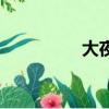 大夜（关于大夜的简介）