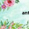 anti（关于anti的简介）