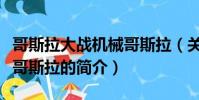 哥斯拉大战机械哥斯拉(关于哥斯拉大战机械哥斯拉的简介)