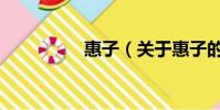 惠子(关于惠子的简介)
