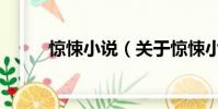 惊悚小说(关于惊悚小说的简介)