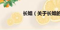 长姐(关于长姐的简介)