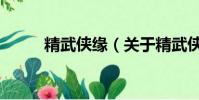 精武侠缘(关于精武侠缘的简介)