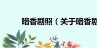 暗香剧照(关于暗香剧照的简介)