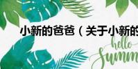 小新的爸爸(关于小新的爸爸的简介)