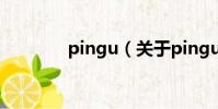 pingu(关于pingu的简介)