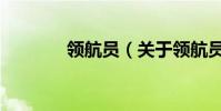领航员(关于领航员的简介)