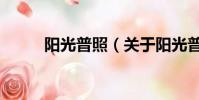 阳光普照(关于阳光普照的简介)