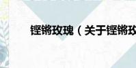铿锵玫瑰(关于铿锵玫瑰的简介)
