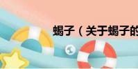 蝎子(关于蝎子的简介)