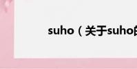 suho(关于suho的简介)