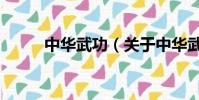 中华武功(关于中华武功的简介)