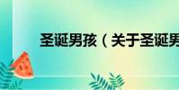 圣诞男孩(关于圣诞男孩的简介)