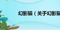 幻影猫(关于幻影猫的简介)
