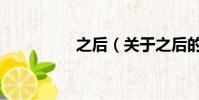 之后(关于之后的简介)