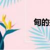 甸的拼音（沉甸甸的拼音）