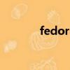 fedora14安装（fedora 18）