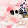 曹爽哪一年出生（曹爽是谁的儿子）