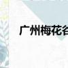 广州梅花谷什么时候看（广州梅花谷）