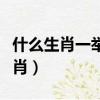 什么生肖一举成名天下知（一举成名是什么生肖）