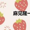 麻见隆一（关于麻见隆一的简介）