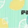 萨德（关于萨德的简介）