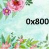 0x800072f8f（0x80072f8f）