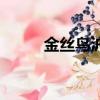 金丝鸟沪剧茅善玉（沪剧茅善玉）