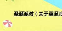圣诞派对(关于圣诞派对的简介)
