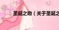 圣诞之吻(关于圣诞之吻的简介)