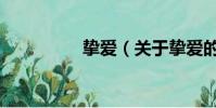 挚爱(关于挚爱的简介)