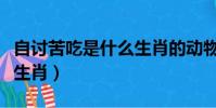 自讨苦吃是什么生肖的动物(自讨苦吃是什么生肖)