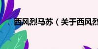 西风烈马苏(关于西风烈马苏的简介)