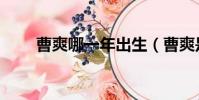 曹爽哪一年出生(曹爽是谁的儿子)