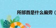 所部首是什么偏旁(所部首)