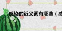 感染的近义词有哪些(感染的近义词)