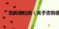忠狗德拉姆(关于忠狗德拉姆的简介)