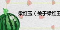 梁红玉(关于梁红玉的简介)